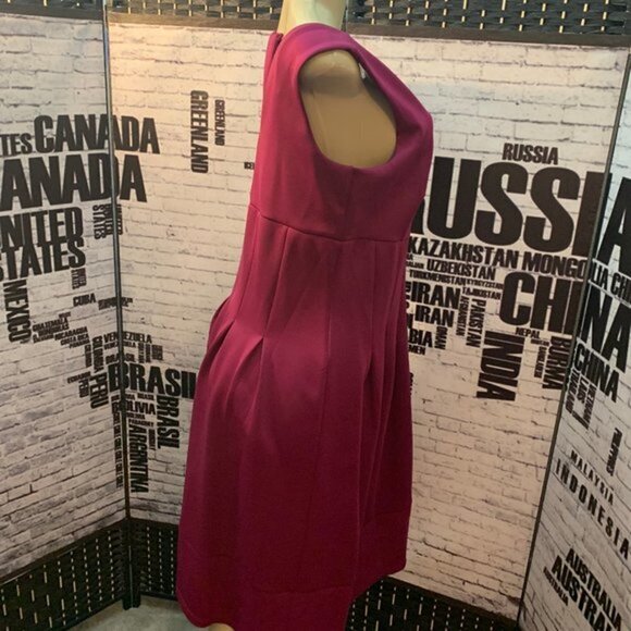 Enfocus Studio Berry Pleats Sleeveless Dress - Picture 3 of 6